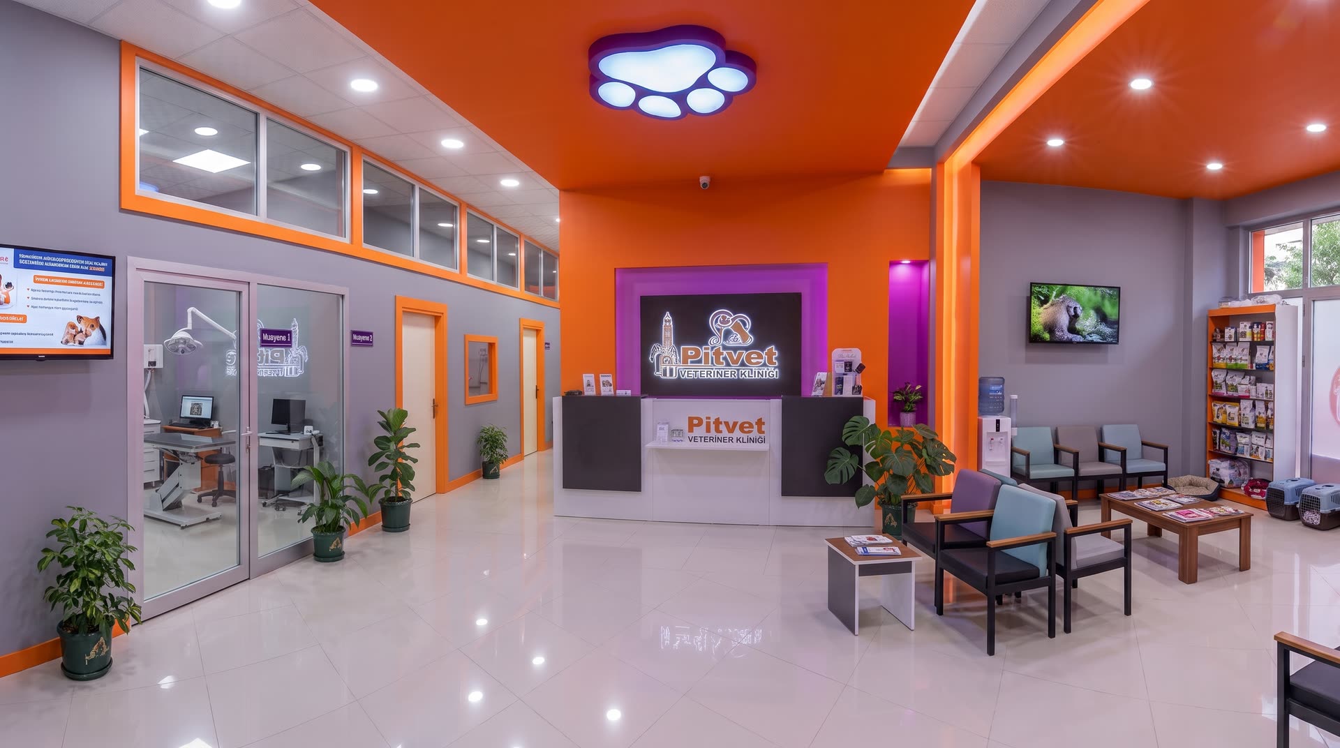 Pityvet Veteriner Kliniği’nin Karşıyaka Şemikler’deki resepsiyon ve bekleme alanı