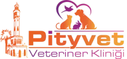 Pityvet Veteriner Kliniği